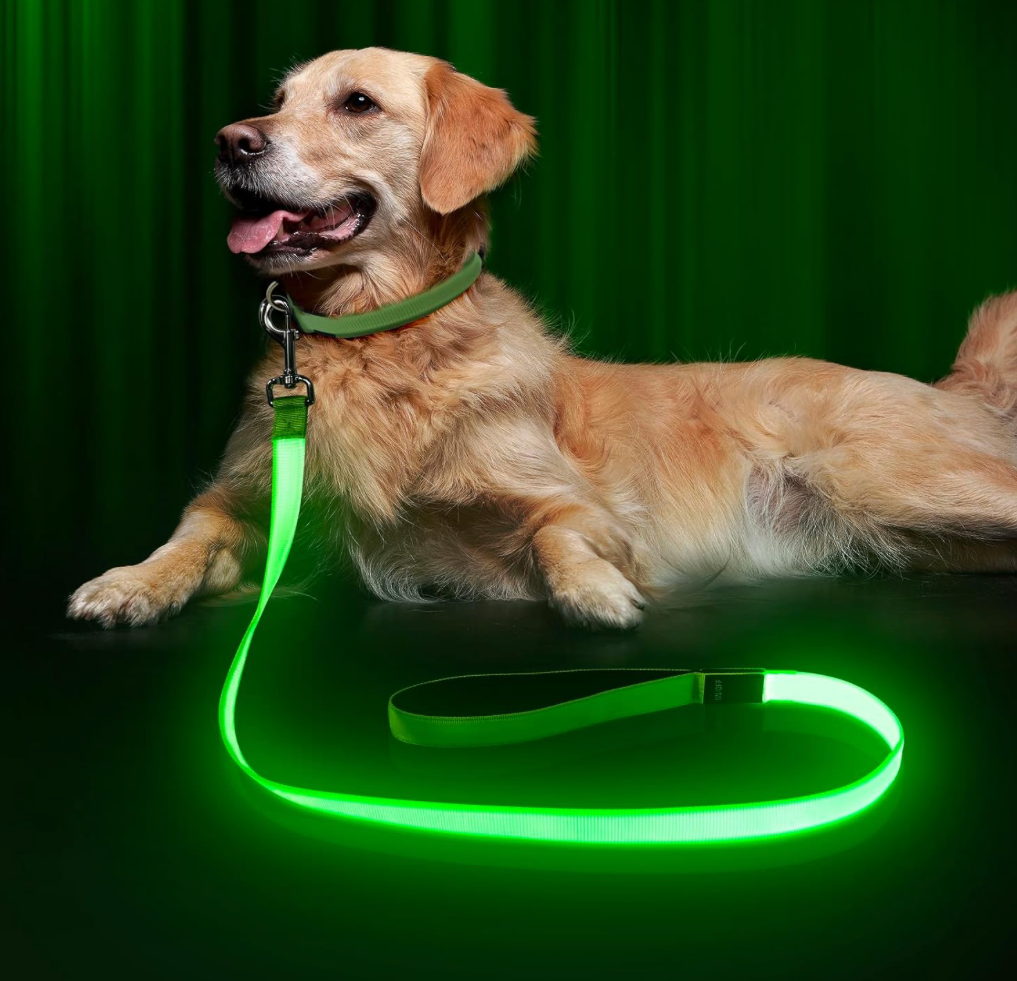 LED Dog Leash