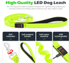 LED Dog Leash